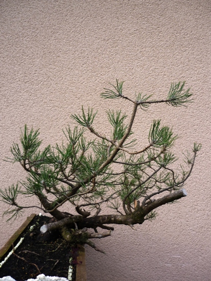 P1010721.JPG