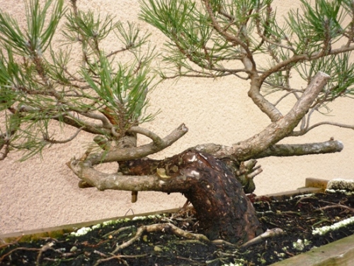 P1010730.JPG