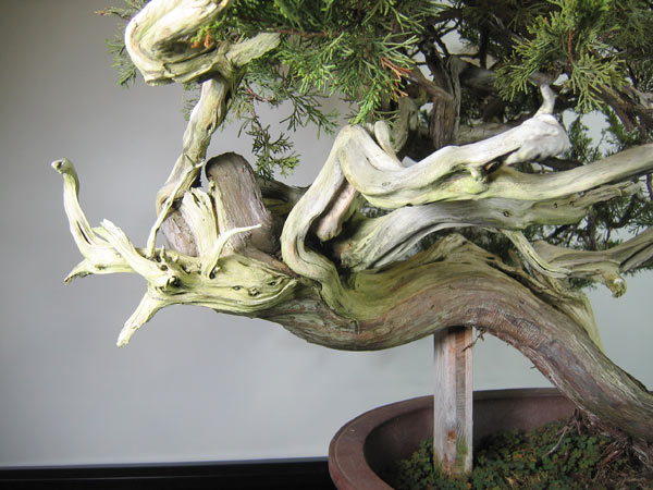 2012-031bbear-web.jpg
