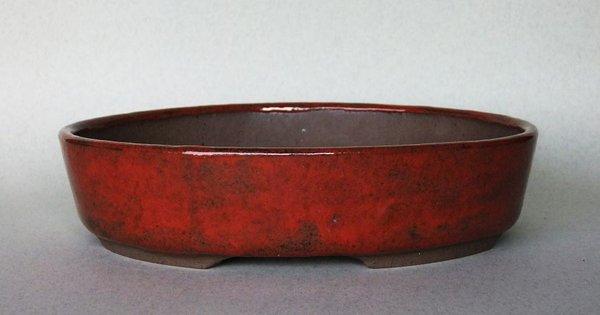 k-N-O 1206.jpg