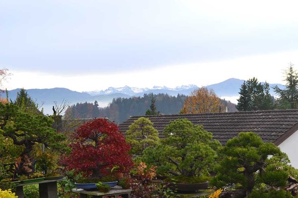 DSC_0105.jpg