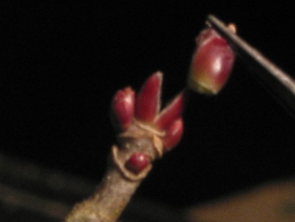 042 9.2.08.jpg