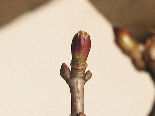 043 9.2.08.jpg