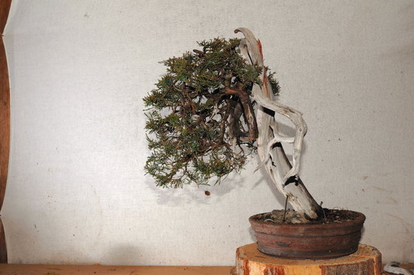 PHR_5070_7448.JPG