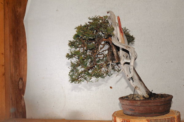 PHR_5072_7449.JPG