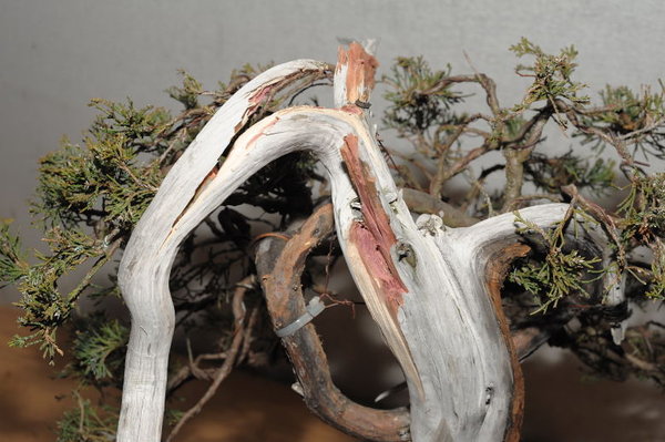 PHR_5074_7451.JPG