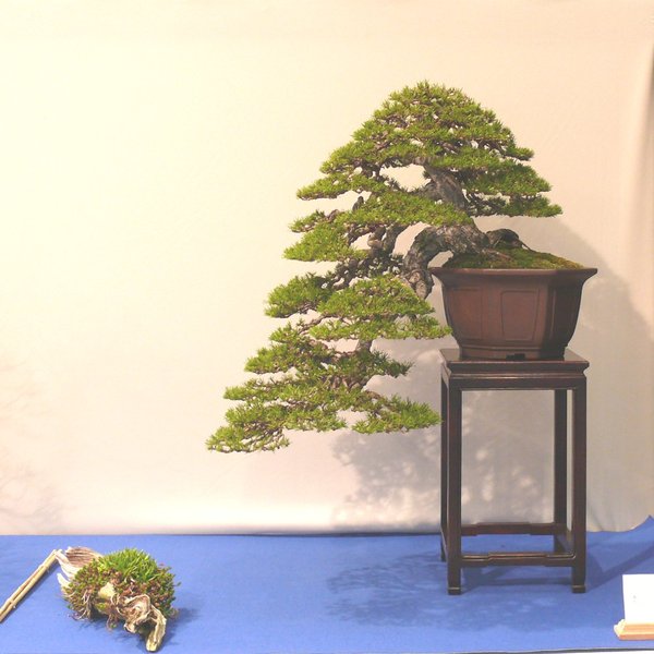P1040810k.JPG