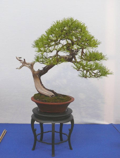 P1040832k.JPG