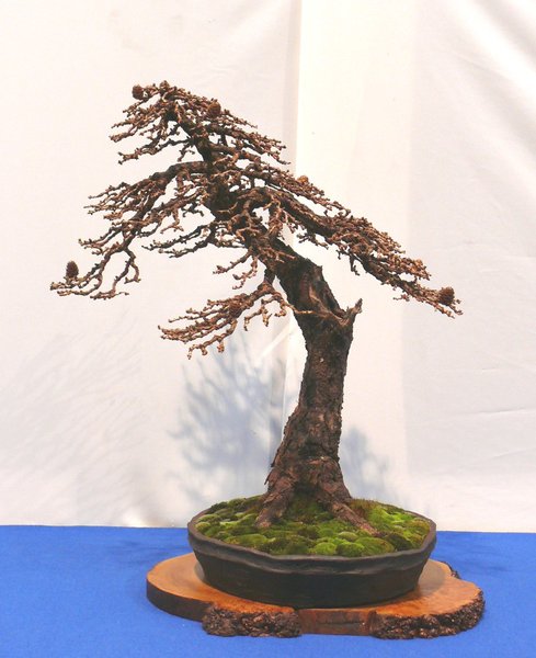 P1040844k.JPG