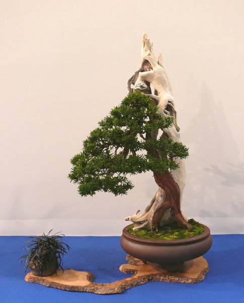 P1040865k.JPG