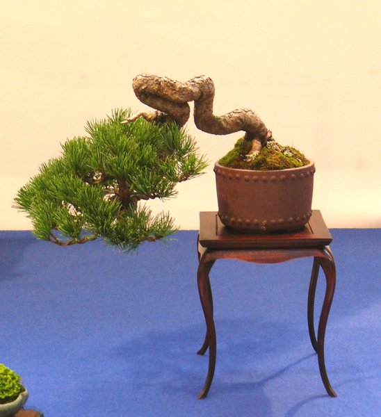 P1040882k.JPG