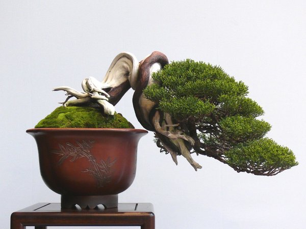 P1040883k.JPG