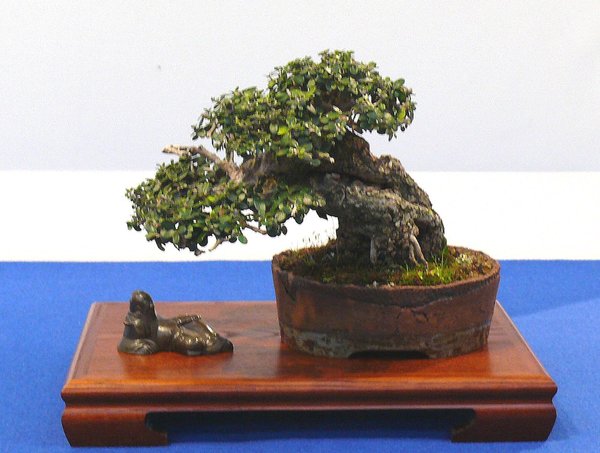 P1040946k.JPG