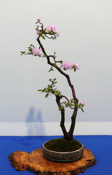 P1040949k.JPG