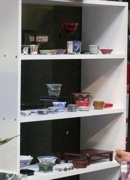 Schöne Pöttchen bei Bonsai Plaza!