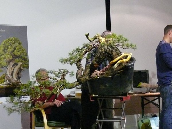 P1050015k.JPG
