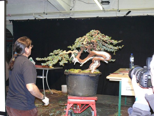 Jorge Campos mit einem interessanten Baum