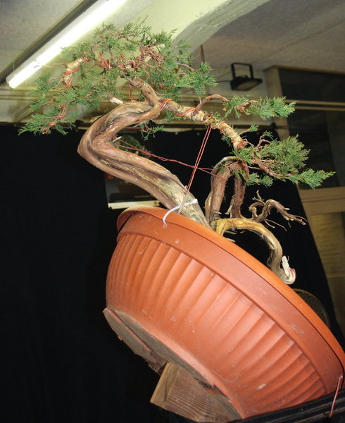 Bl53_1.jpg