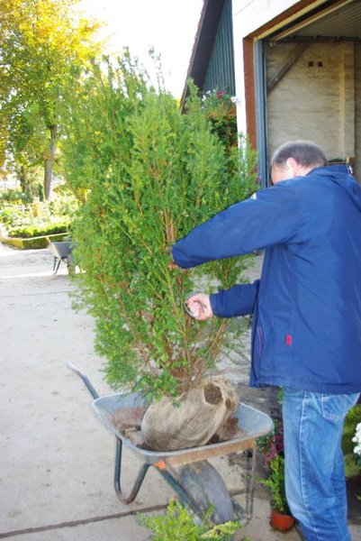IMGP2480_1.JPG