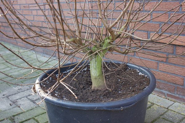 Vorderseite_Stamm_WEB.jpg