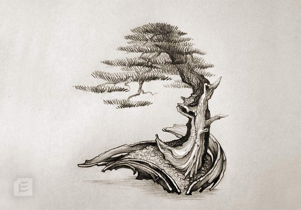 bonsai-pot-Element-No.20-21.jpg