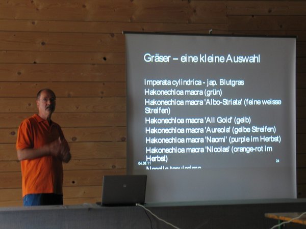 hallein 2011 042.jpg