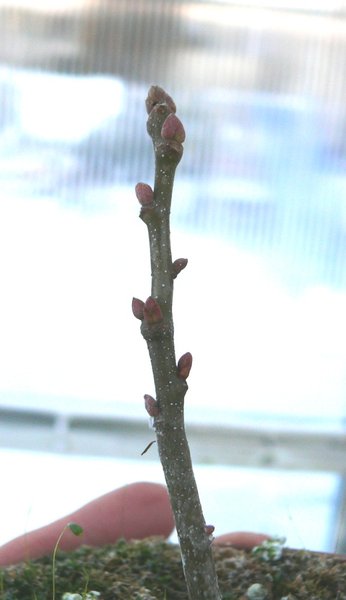 P1050200k.JPG