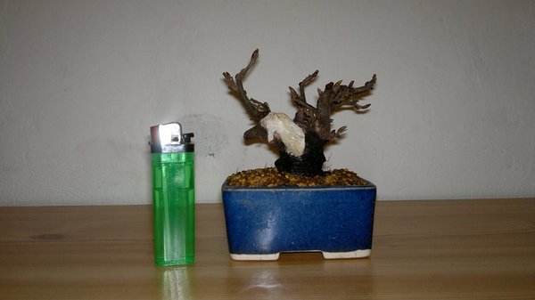 11022012466.jpg