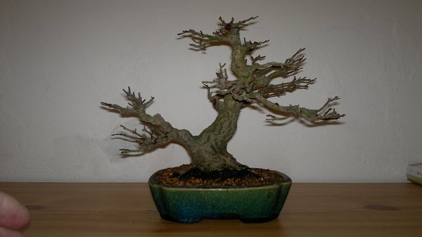 2012-02-12-006.jpg