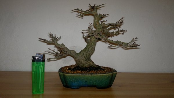 2012-02-12-016.jpg