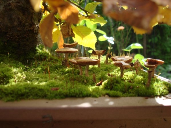 010_0710-2x.jpg
