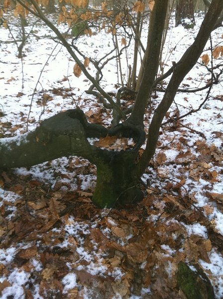 photo4.jpg
