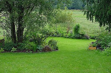 Noch ein Blick in den angrenzenden Garten