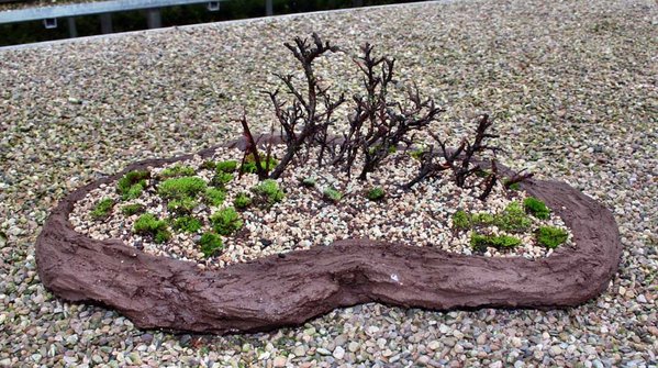 floßform aus 2010, schale selbst gemacht