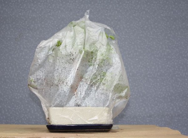 Müllbeutel mit Löchern