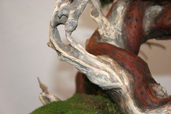 Divers07022012 044.jpg