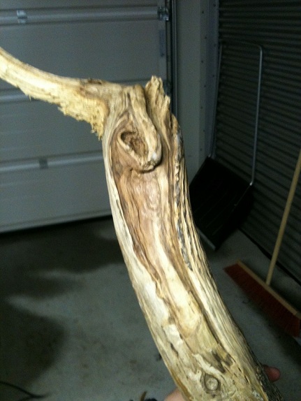 Foto 22.02.12 20 39 31.jpg