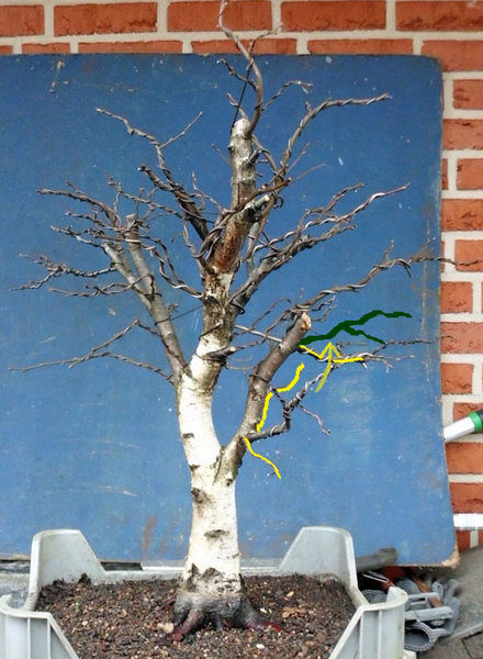gedrahtet 2012 5kor.jpg