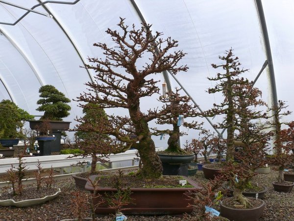 P1000749.JPG