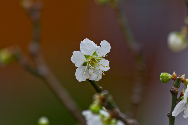 IMG_3093-6-7.jpg