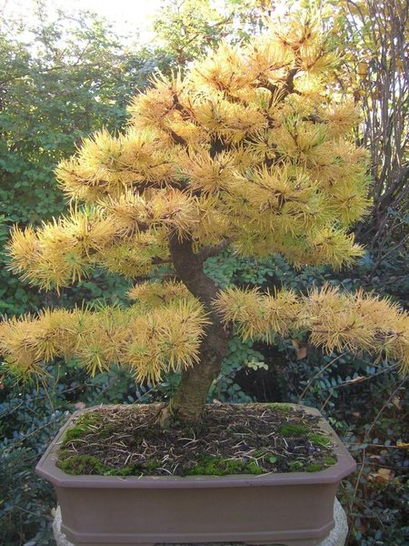 Herbst 2007