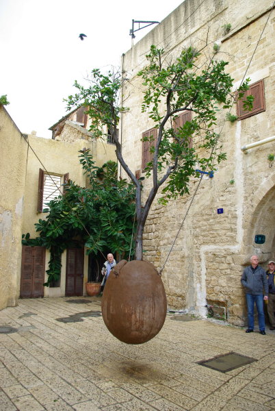 IMGP2825_1.JPG