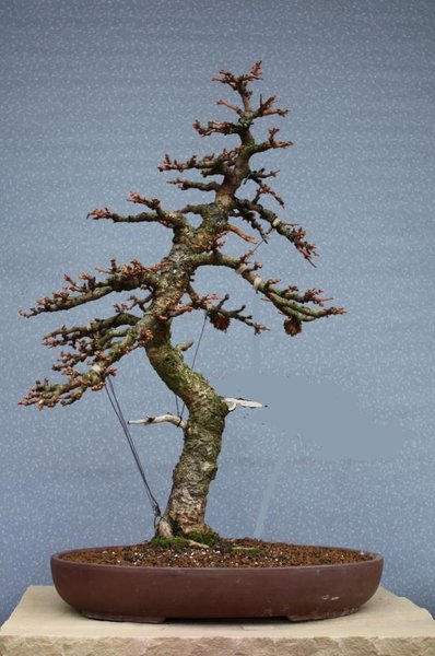 2012 März.JPG