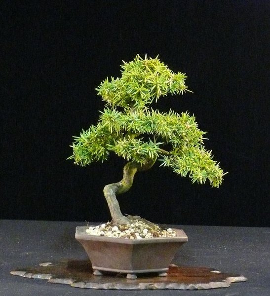 P1050270k.JPG