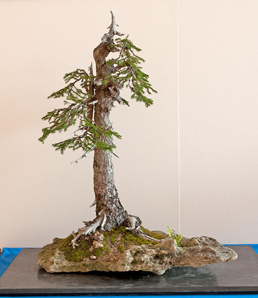 RDSC_0182x.jpg