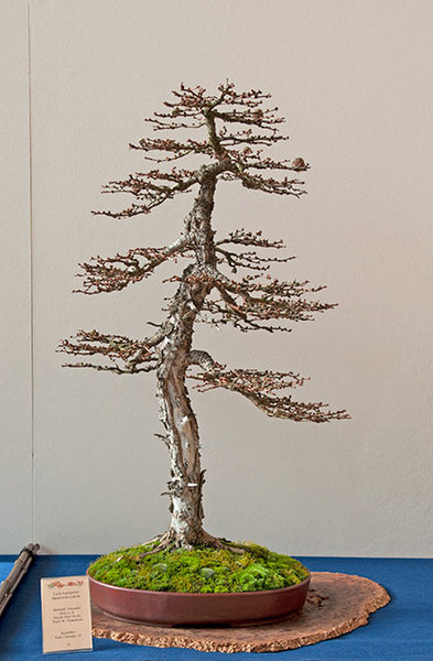 RDSC_0199x.jpg