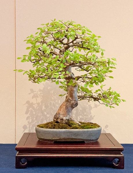 RDSC_0262x.jpg