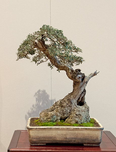 RDSC_0269x.jpg
