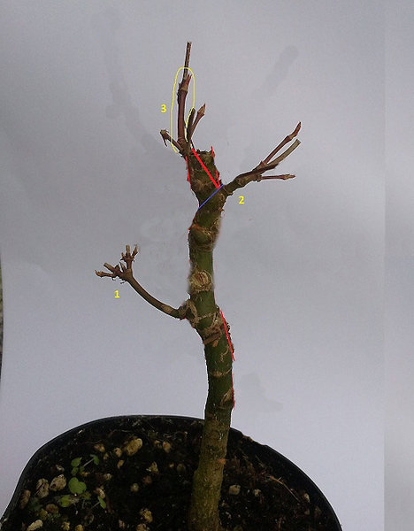 acer-p.5-1.jpg