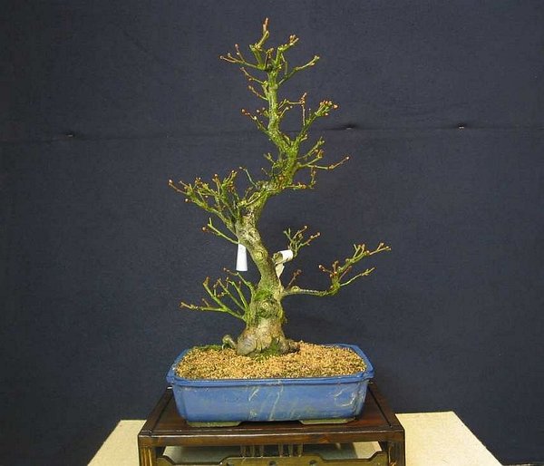 Feb 2005